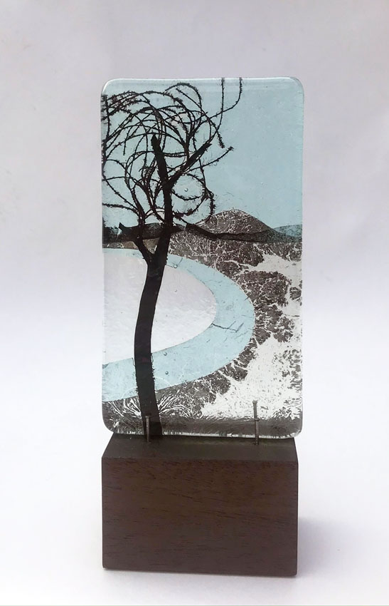 tree in the bay tree in the bay